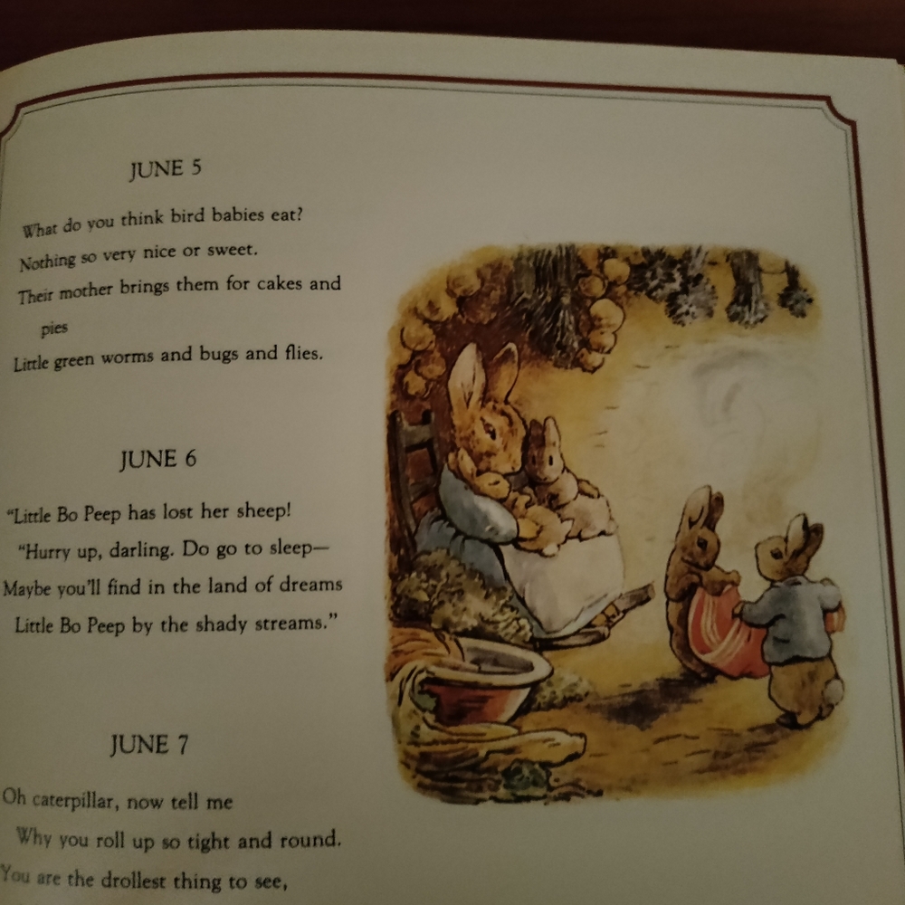 Peter Rabbit Birthday Book - Picture 8 of 10